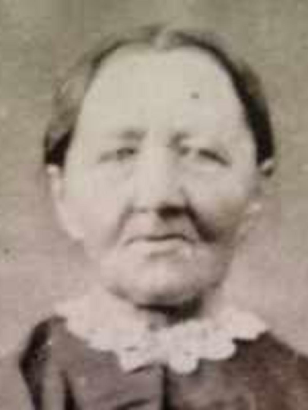 Elizabeth Pedersen Larsen (1813 - 1891) Profile